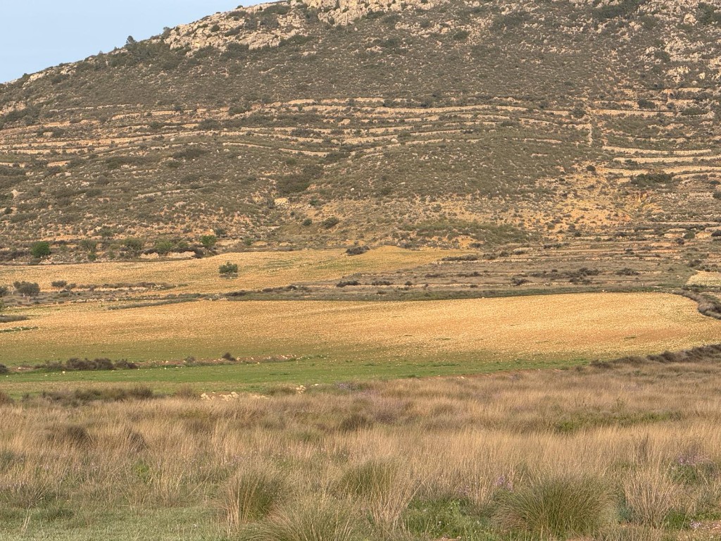 Terreno real del proyecto Kabria, detalle del entorno